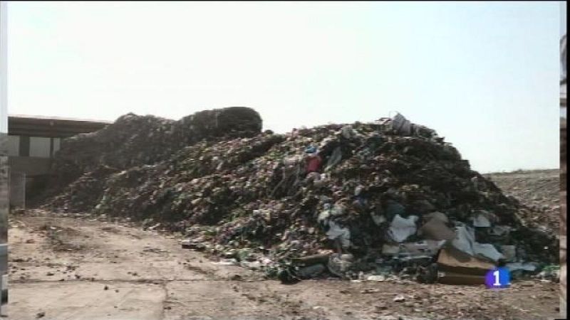 Menorca podria continuar important fems a Son Reus