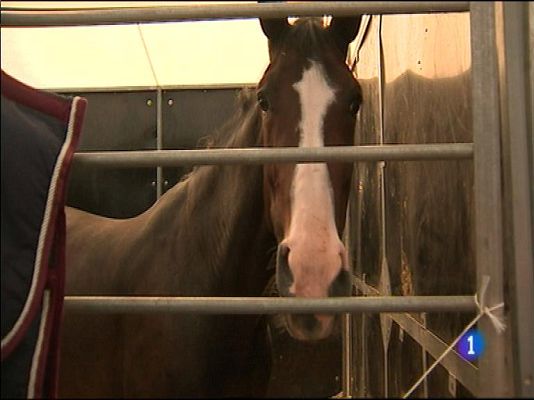 Panorama Regional - Panorama Regional 2 - 25/08/15