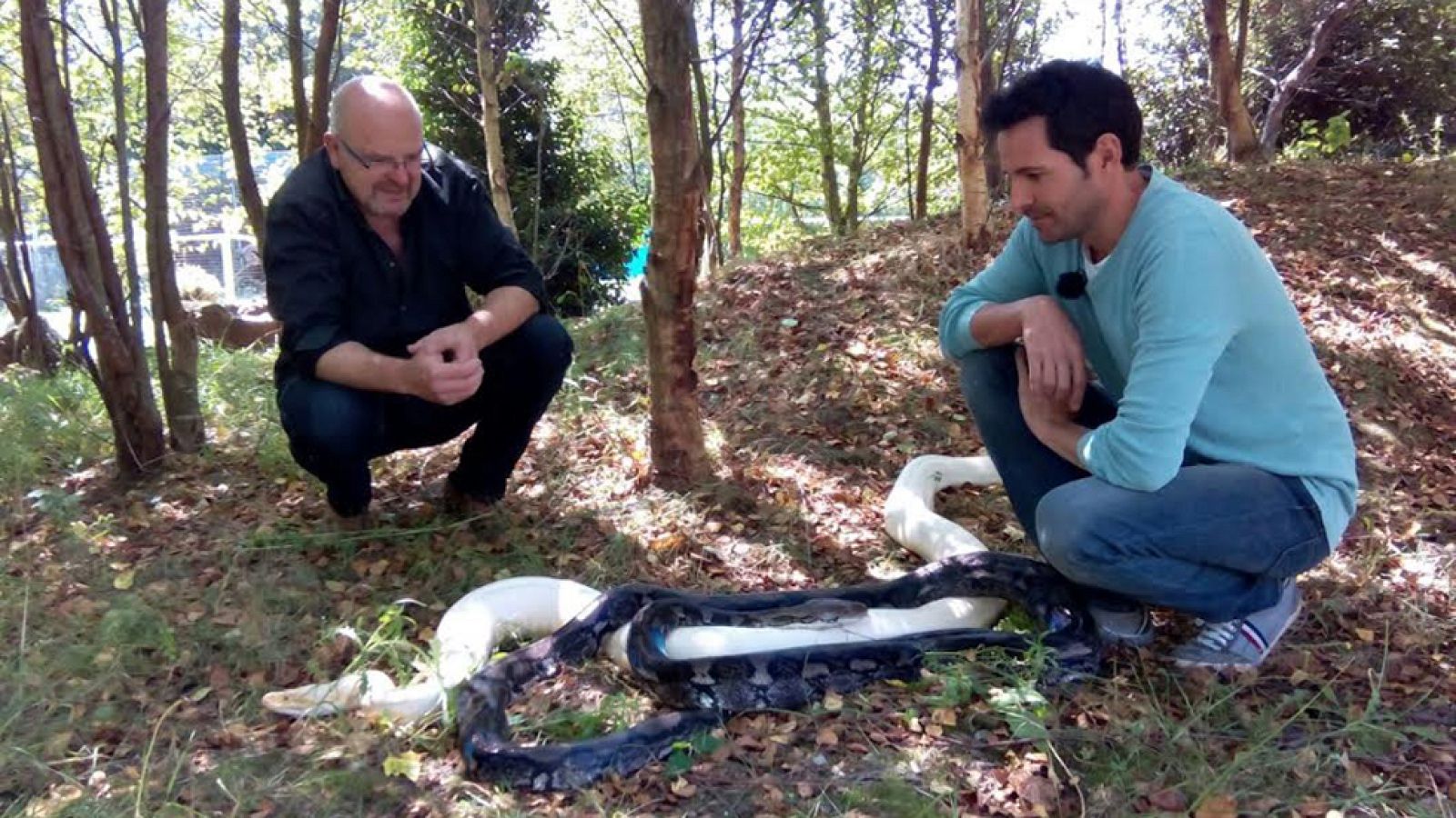 No tenemos miedo a nada, ¡ni a las serpientes!