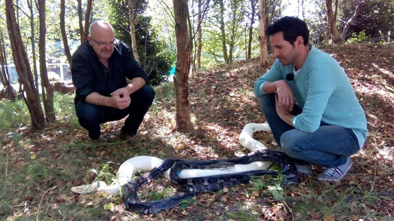 No tenemos miedo a nada, ¡ni a las serpientes!