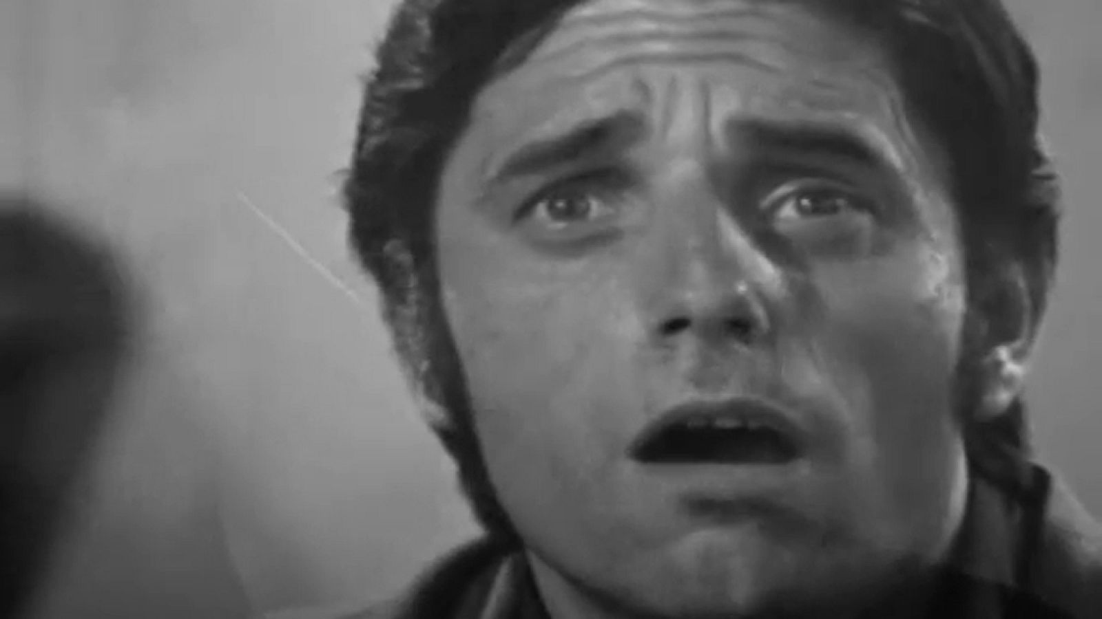 Las aventuras del hada Rebeca - Capítulo 13