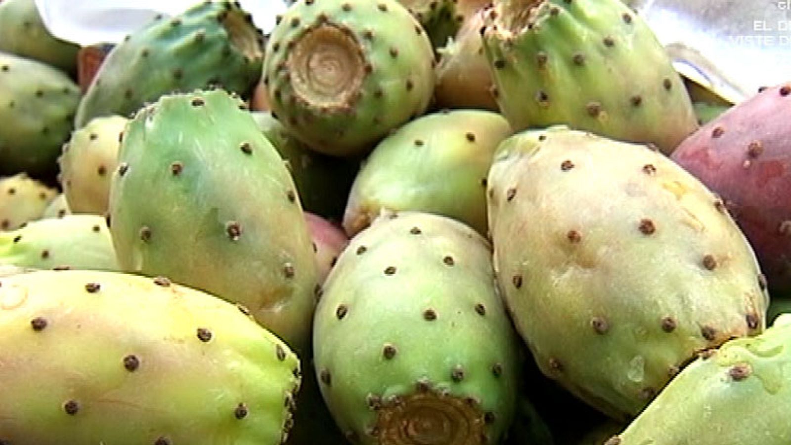 Higos chumbos, un manjar salvaje