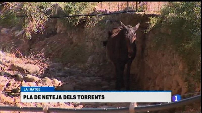 Informatiu Balear 2 - 27/08/15