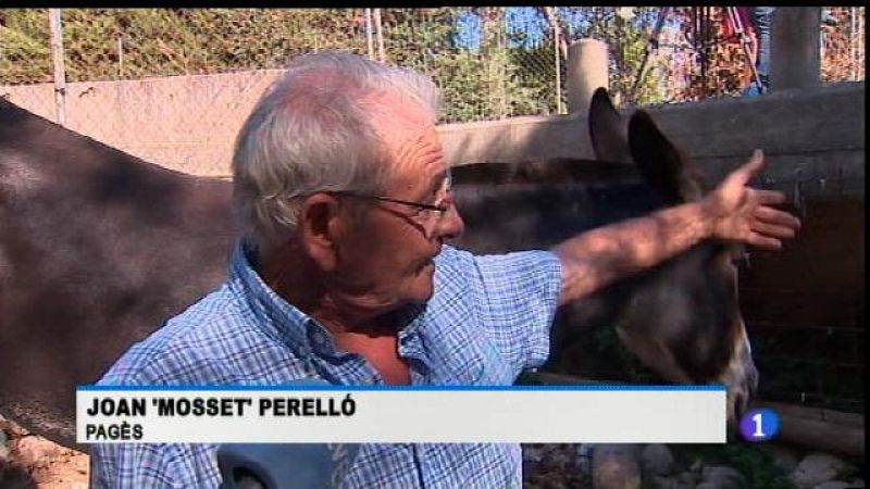 Una tecnologia 'bestial' per netejar torrents.