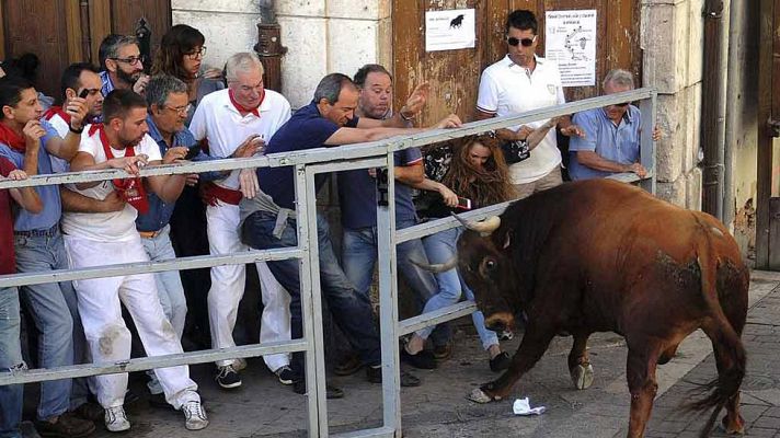 Telediario 1 - Doce personas han muerto en festejos taurinos en 2015