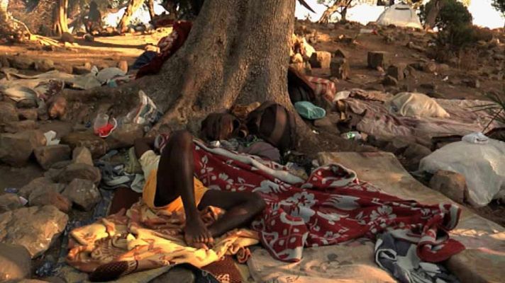 Telediario 1 - Un bosque en Tánger se convierte en refugio de inmigrantes