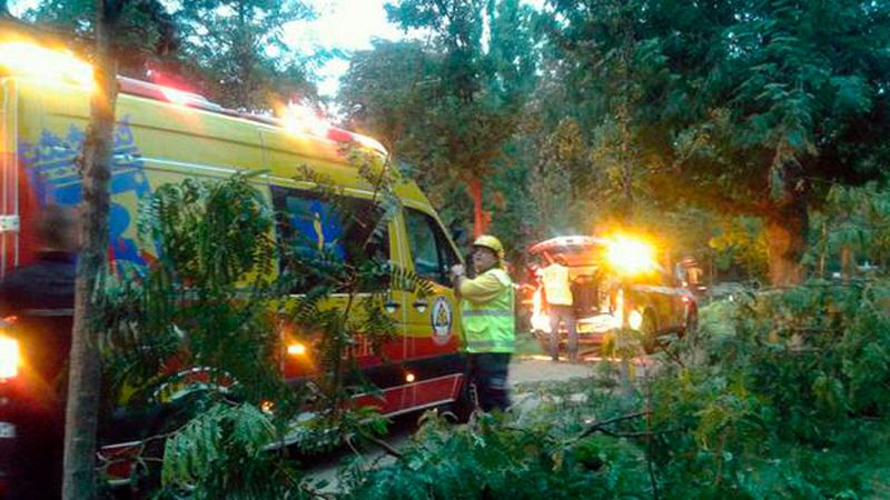 La Comunidad de Madrid en 4' - 31/08/15 | Ver