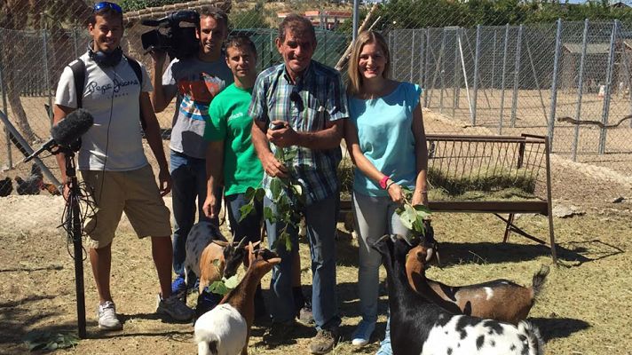 Aquí la Tierra - ¿Cómo proteger a los animales del calor?