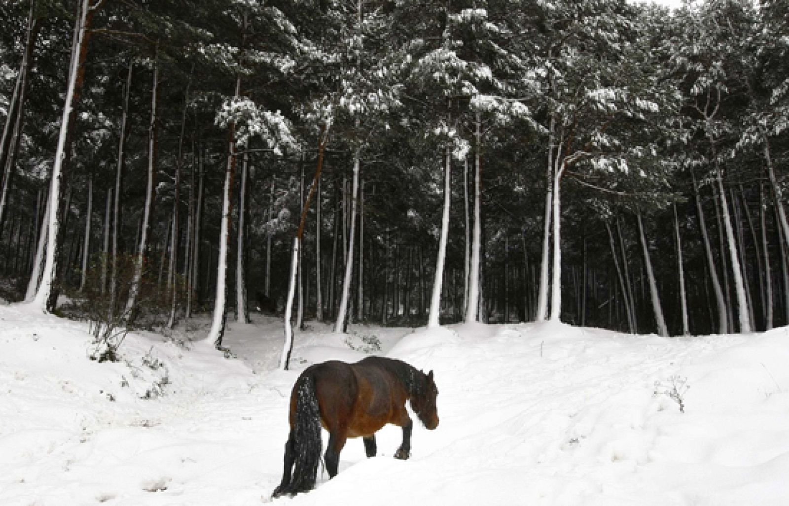 Telediario en cuatro minutos