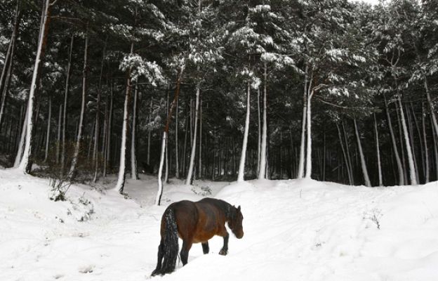 Telediario 1 - Telediario en 4' - 30/10/08