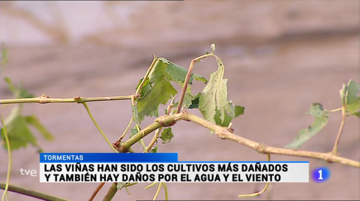 Informativo Telerioja - Telerioja en 2' - 01/09/15