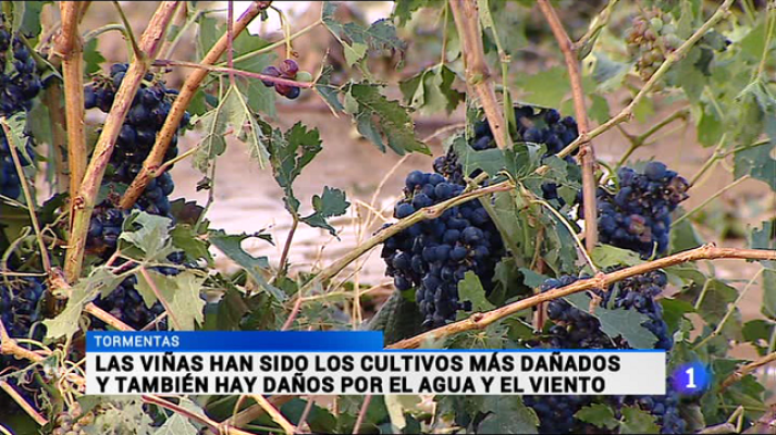 Informativo Telerioja - Informativo Telerioja 2 - 01/09/15