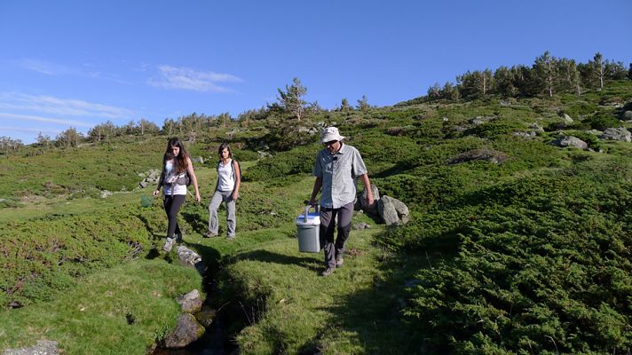 Aquí la Tierra - Repoblando ranas en Guadarrama