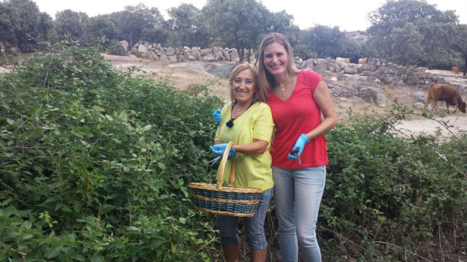 Aquí La Tierra - ¡Desmontando la mala fama de la ortiga!