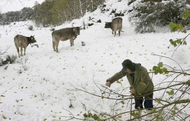 El tiempo - El Tiempo - 30/10/08
