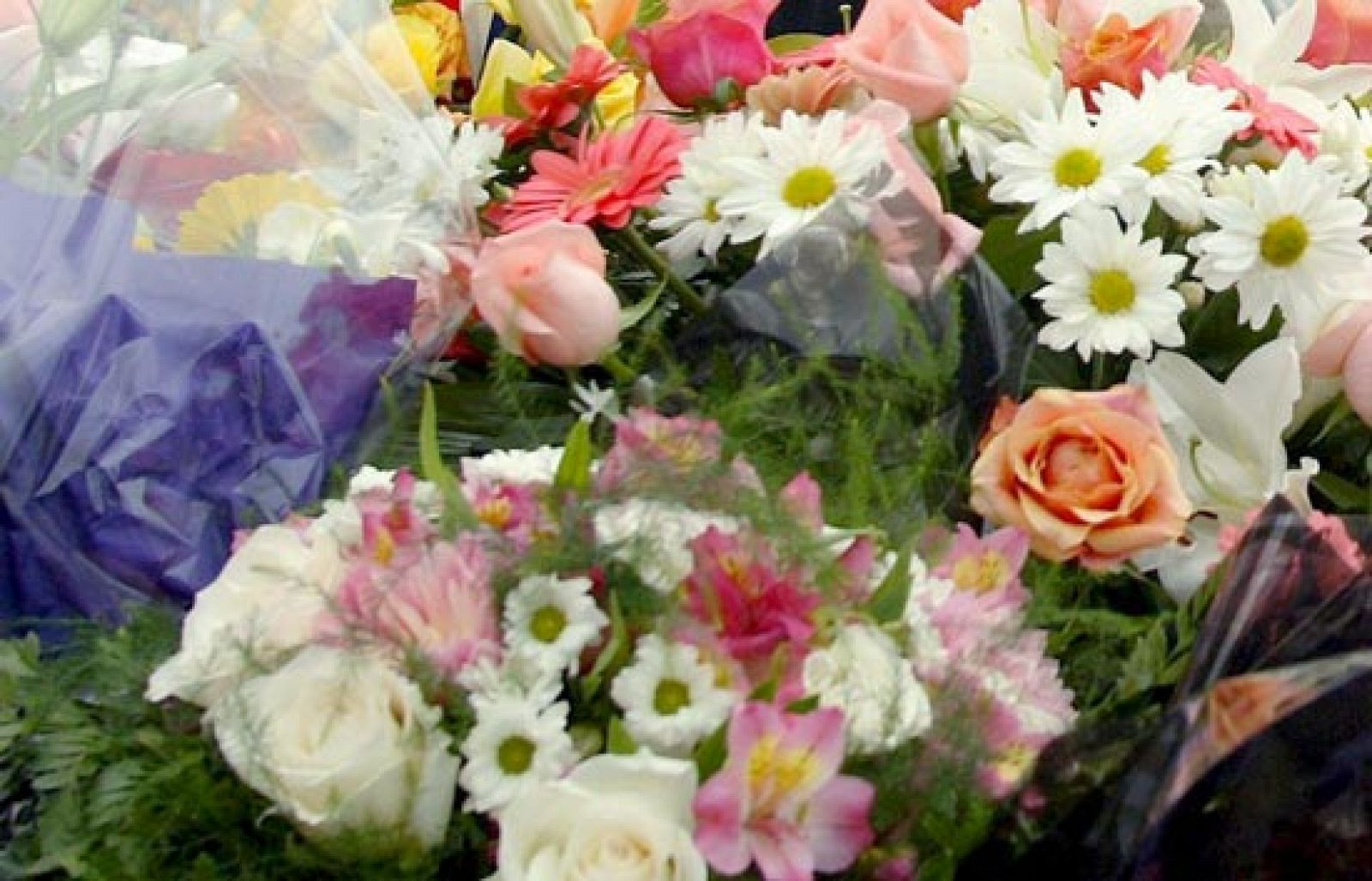 Estos días se venden más flores por el día de Todos los Santos | Ver