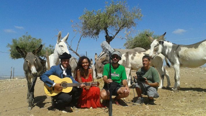 Aquí la Tierra - Aquí La Tierra - Caramelo: Un burro con aires de caballo