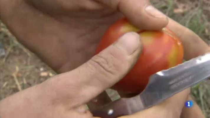 L'Informatiu - Els bancs de llavors que recuperen varietats perdudes de fruites, verdures i altres coses de menjar