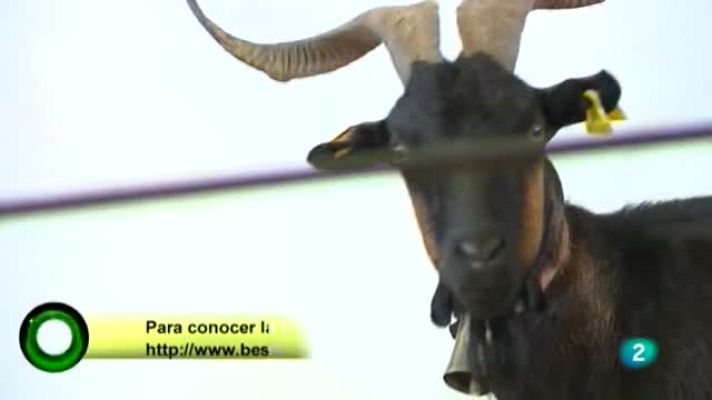 Agrosfera - Bestiarium