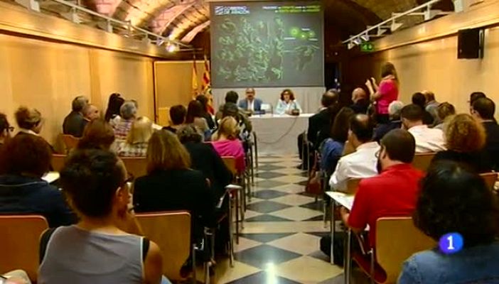 Noticias Aragón - Noticias Aragón 2 - 07/09/15