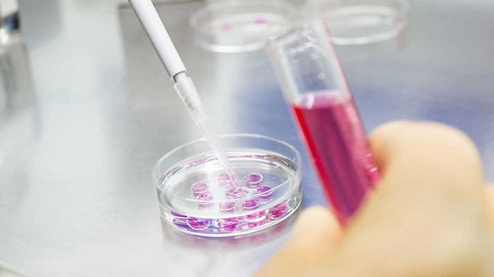 Documenta2 - Nanotecnologías - ¿Por un planeta más verde?