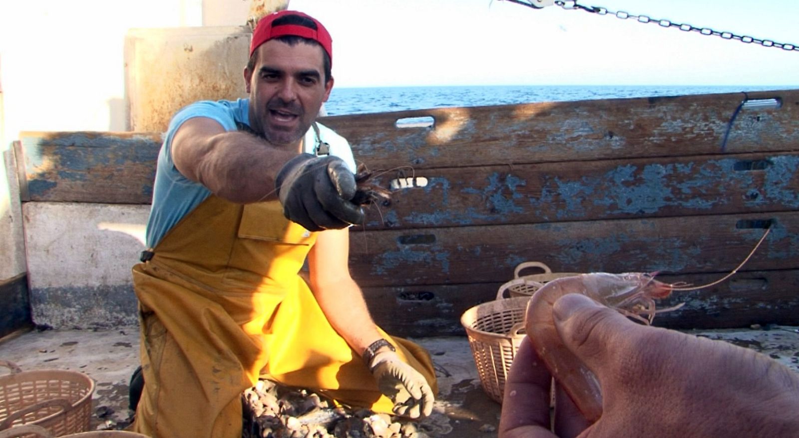 Comando Actualidad - De temporada - Avance