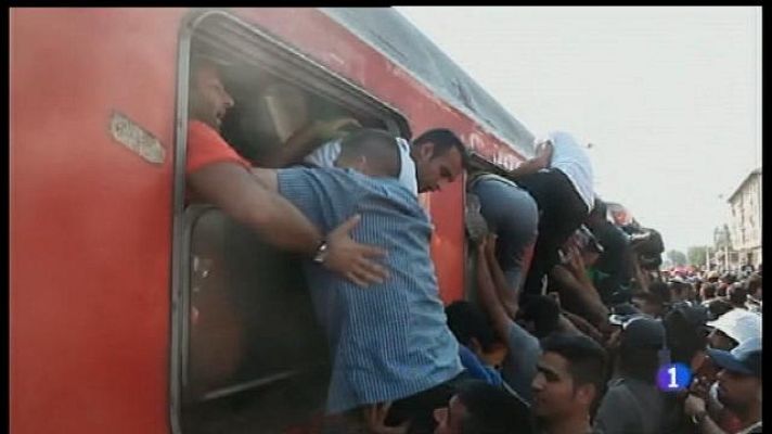 Informatiu Balear - Marti i Giovanni, dos sirians establerts a Mallorca