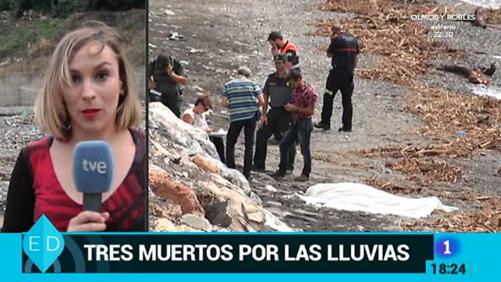 España Directo - 08/09/15 - ver ahora