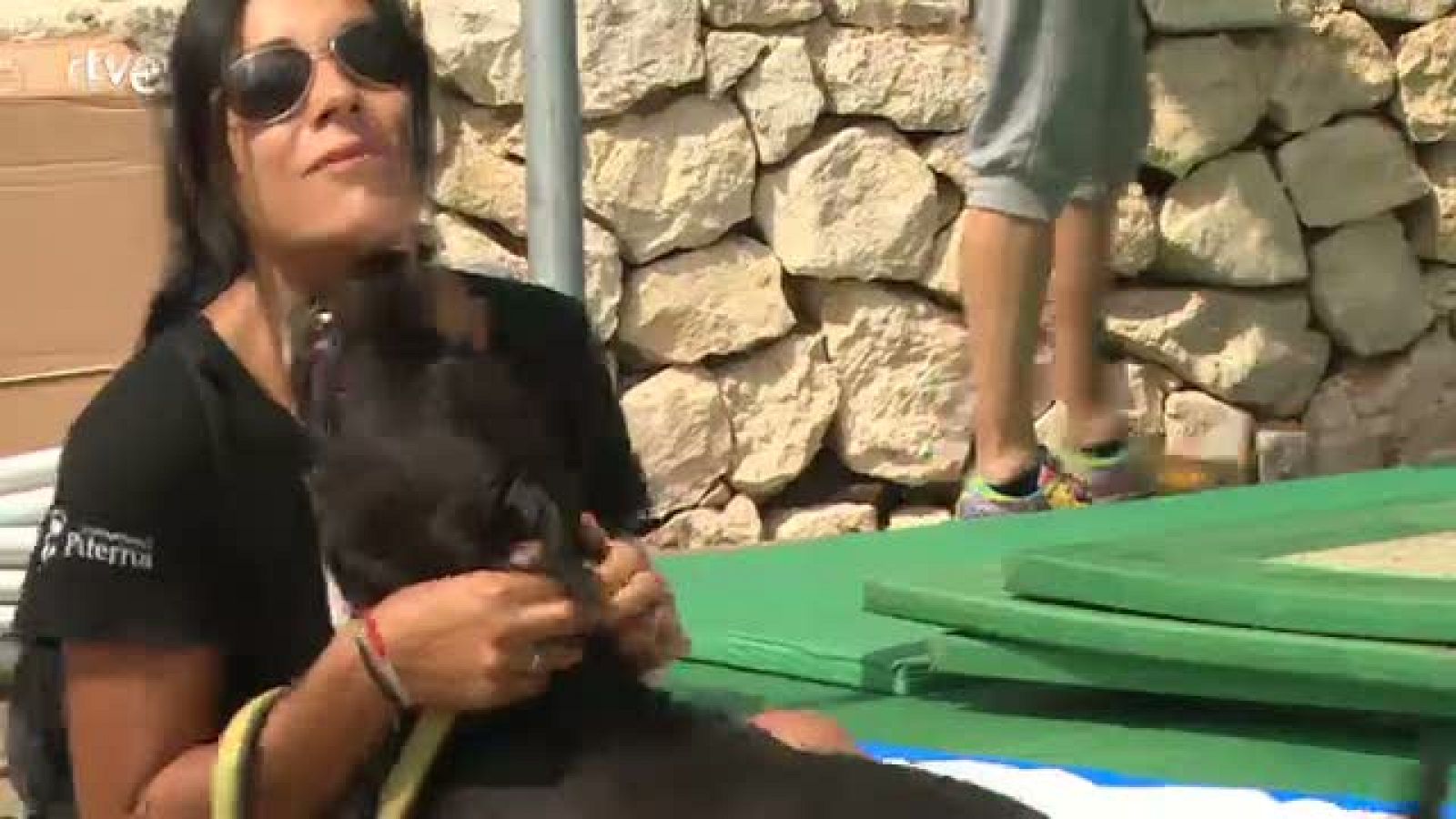 El número de abandonos de estas razas ha crecido considerablemente