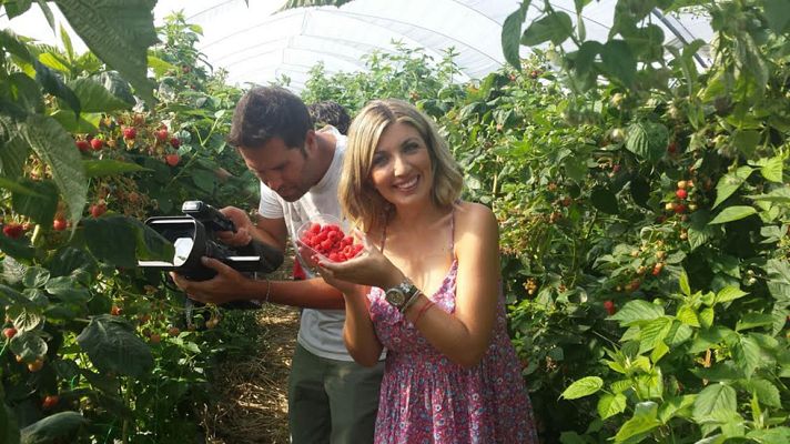 Aquí la Tierra - Moras y frambuesas ¿cuál es cuál?