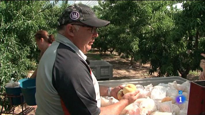 Comando Actualidad - Melocotón de Calanda