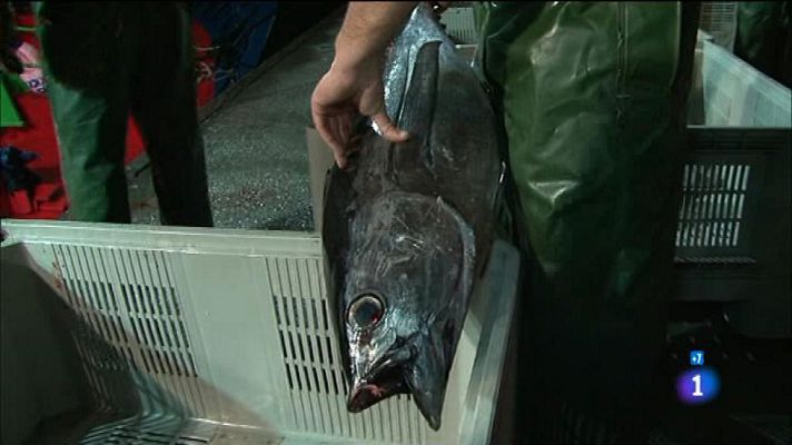 Comando Actualidad - El Bonito de Bermeo