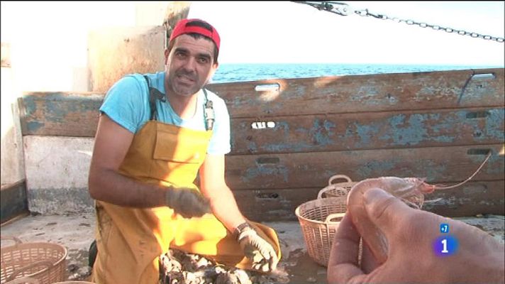 Comando Actualidad - Gamba blanca, Huelva