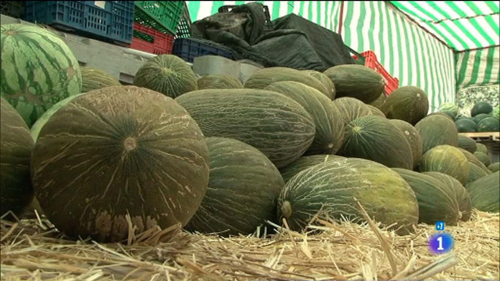 Comando actualidad - De Temporada - Melones, Membrilla