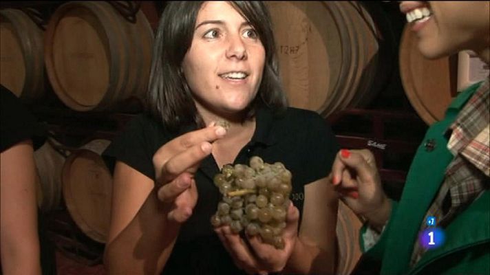 Comando Actualidad - Uvas, Lleida