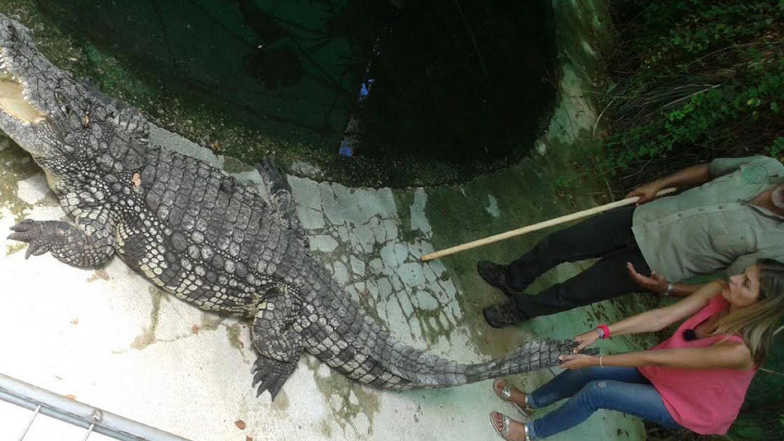 La reportera que aprendía de los cocodrilos