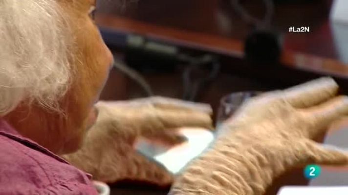  - Testimonios de mujeres musulmanas que rompen estoereotipos sobre igualdad en la cultura árabe.