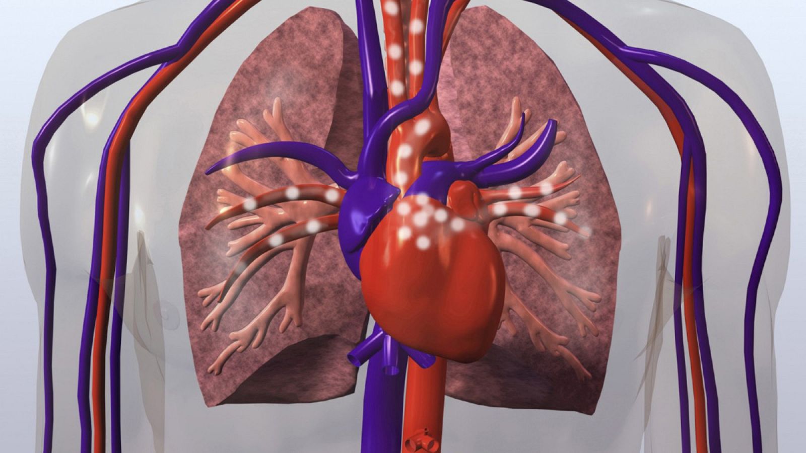 Saber vivir - El ritmo del corazón