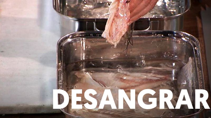 Universo Torres: Desangrar