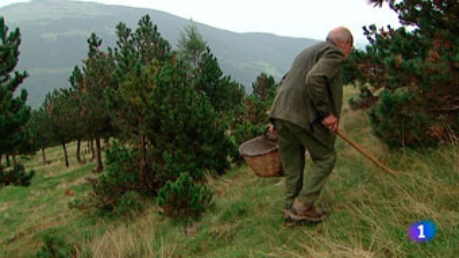 L'Informatiu 2 - 15/09/2015