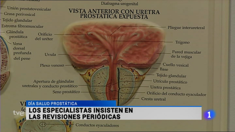 Informativo Telerioja 2 - 15/09/15
