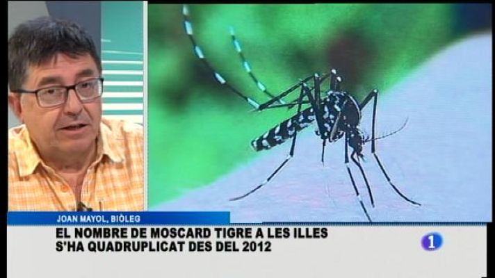 Informatiu Balear - Joan Mayol, biòleg
