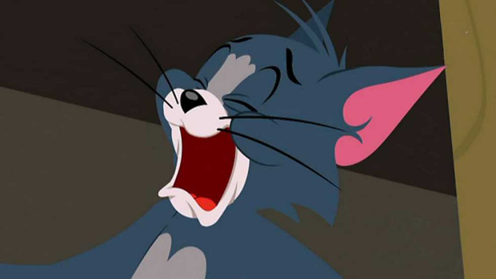 Fiesta fantasma - Tom y Jerry | Ver