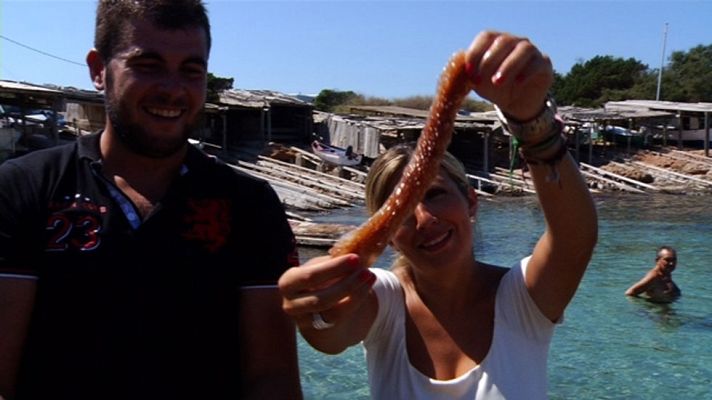 Aquí la Tierra - ¿Pero qué es un pepino de mar?