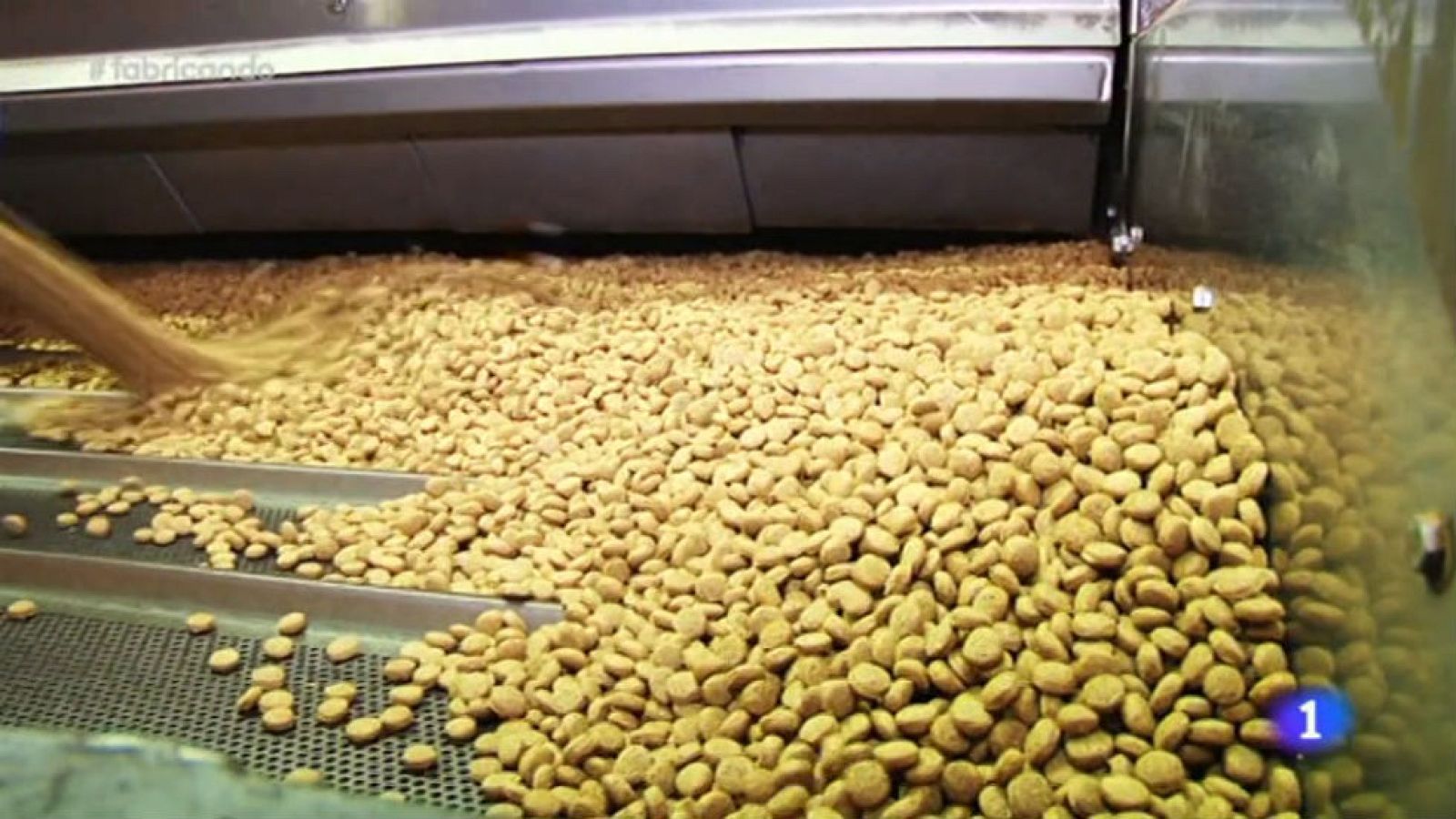 Croquetas para perro