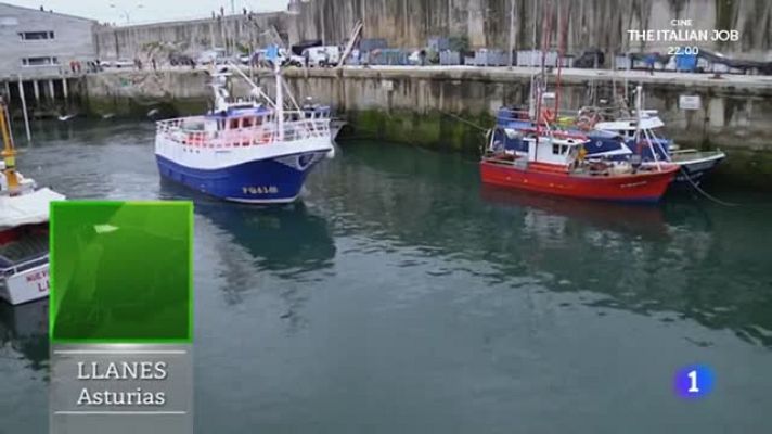 Aquí la Tierra - Tortugas gigantes "asturianas"