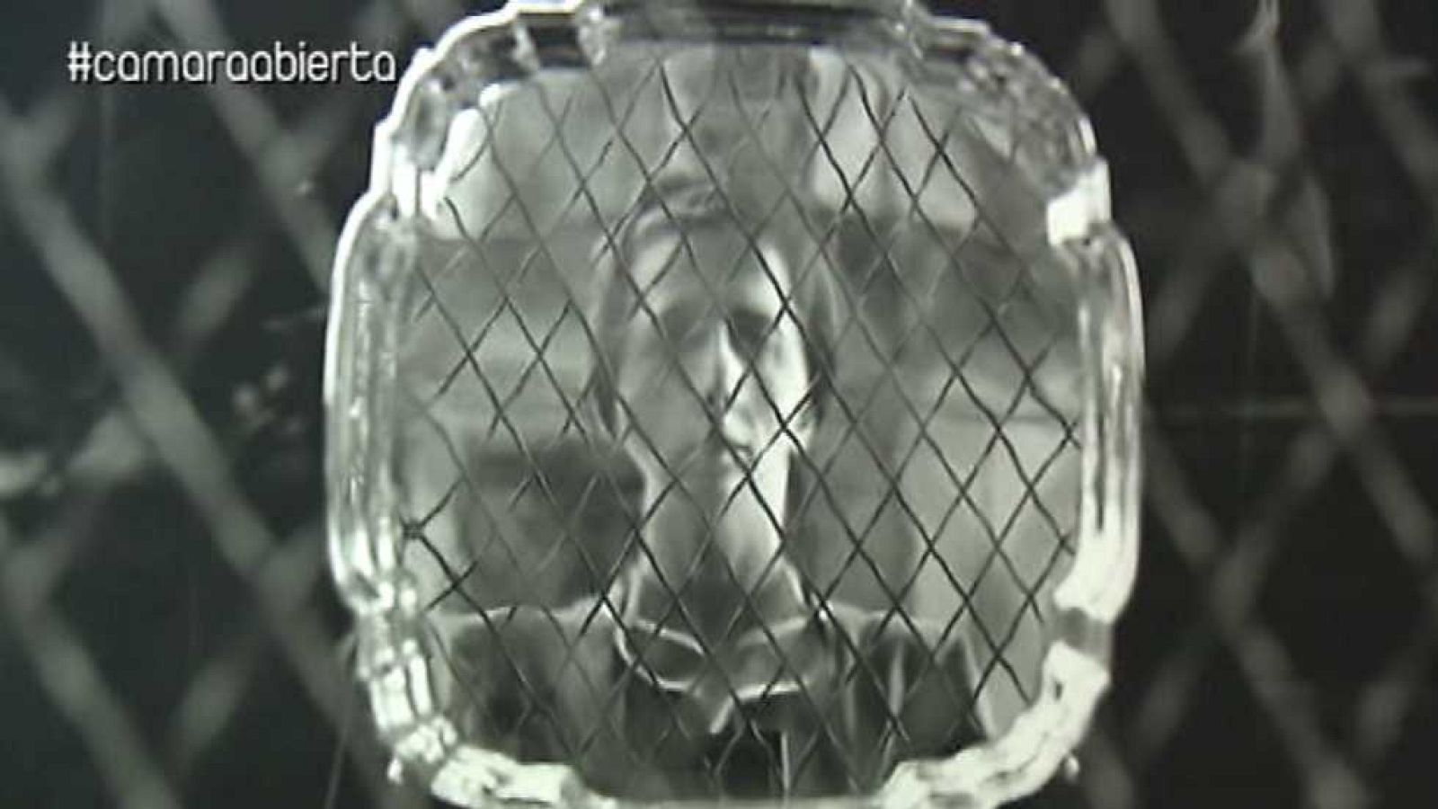 Cámara abierta 2.0 - Vivian Maier, Ashoka Changemakers en Tú ruedas, Charly Sinewan en Reinventados y Javier Godino en 1minutoCOM - ver ahora