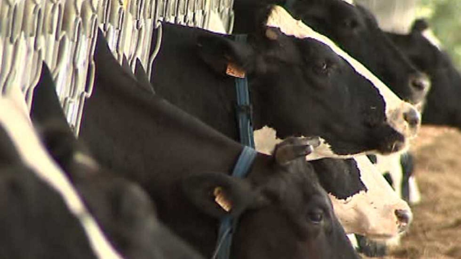 Agrosfera - 19/09/15 - Ver ahora