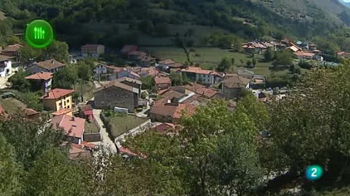 Agrosfera - Queso Casin