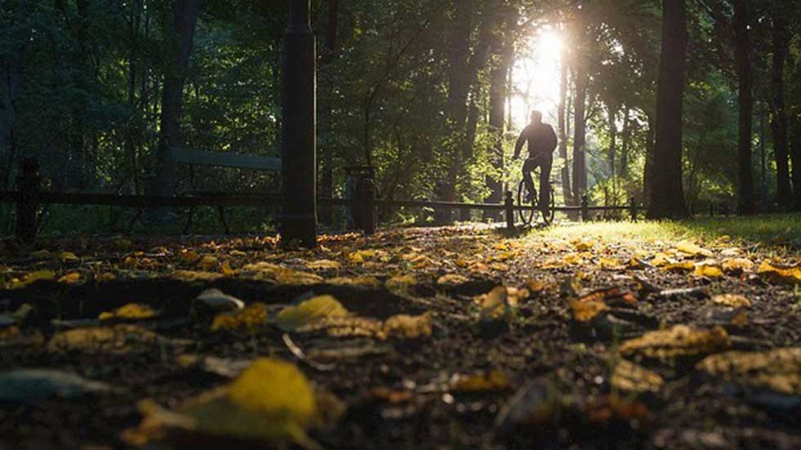 El otoño será más cálido y lluvioso de lo normal después de un verano muy caluroso